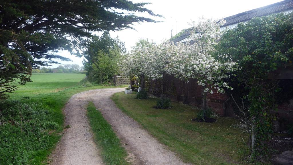 Lockgate Dairy Bed and Breakfast Chichester Exteriör bild