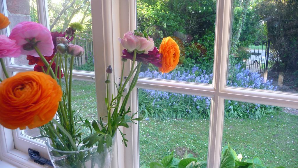 Lockgate Dairy Bed and Breakfast Chichester Exteriör bild