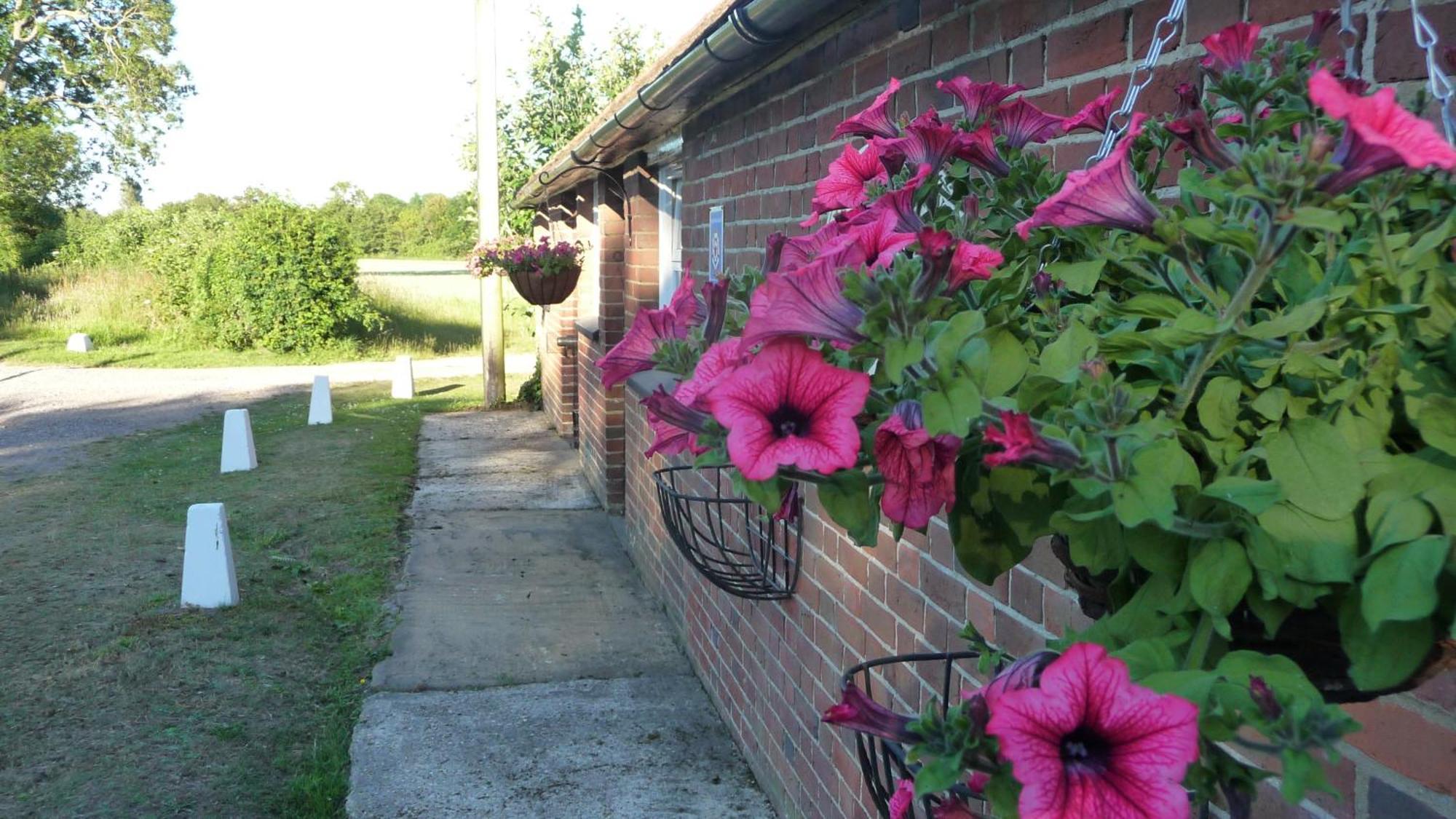 Lockgate Dairy Bed and Breakfast Chichester Exteriör bild