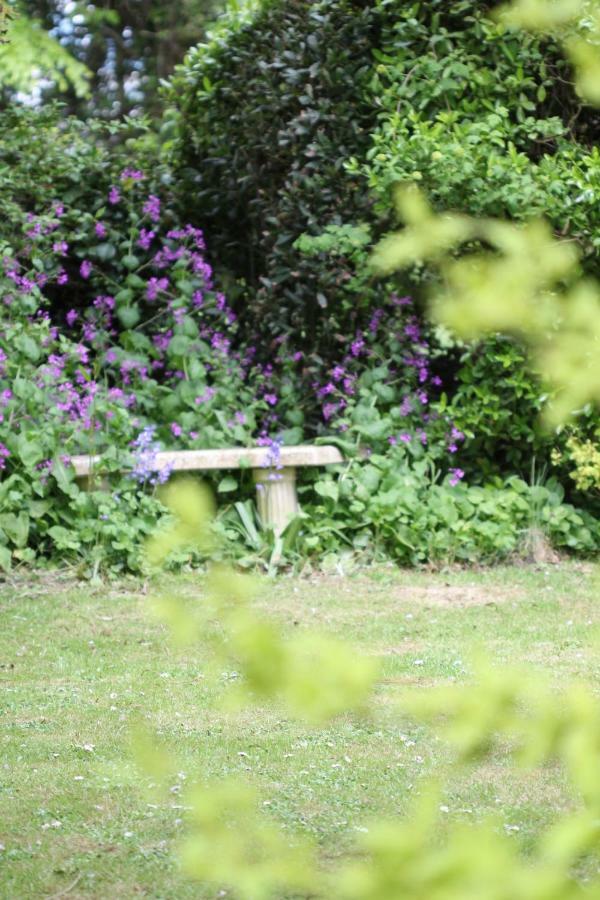 Lockgate Dairy Bed and Breakfast Chichester Exteriör bild