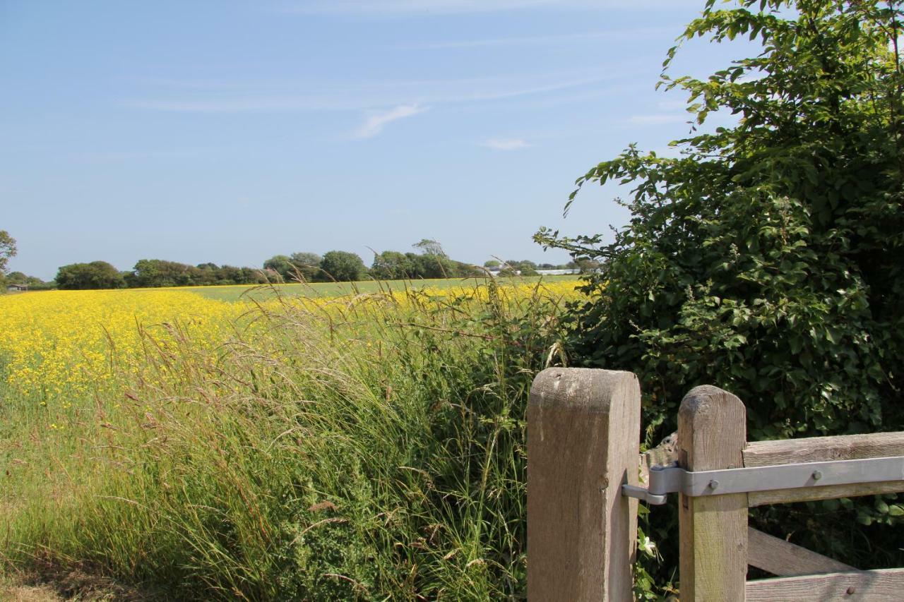 Lockgate Dairy Bed and Breakfast Chichester Exteriör bild